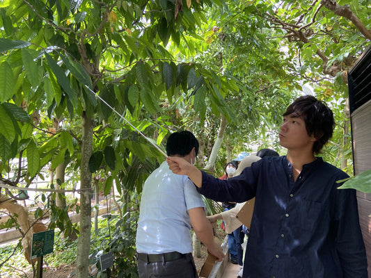 【レポート】ハーブ王子こと山下智道さんと巡る 各務原 内藤記念くすり博物館 薬用植物園