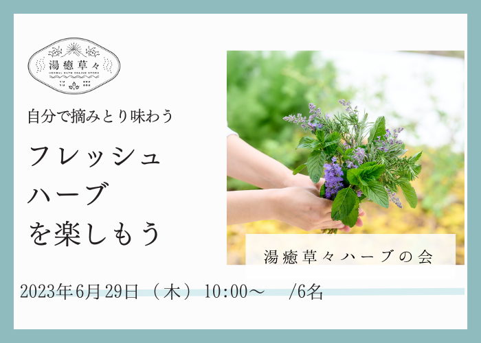 【6/29 開催 湯癒草々ハーブの会】「フレッシュハーブを楽しもう」