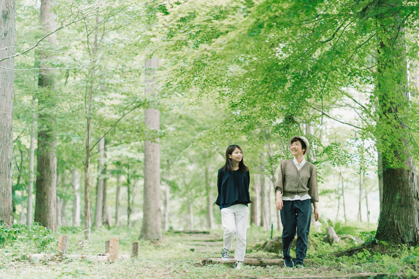 【3/11 開催イベント】飛騨のめぐみ 薬草のある暮らし「飛騨薬草を使ったティーセレモニーとお菓子の会」