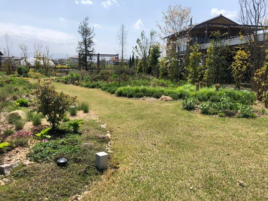 仏生山の旅　～後編/ 植物編～