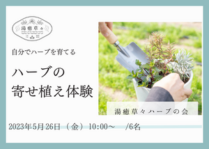 【5/26  開催 湯癒草々ハーブの会】「ハーブの寄せ植えを楽しもう」