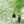 ギャラリービューアに画像を読み込む, 【3/11 開催イベント】飛騨のめぐみ 薬草のある暮らし「飛騨薬草を使ったティーセレモニーとお菓子の会」
